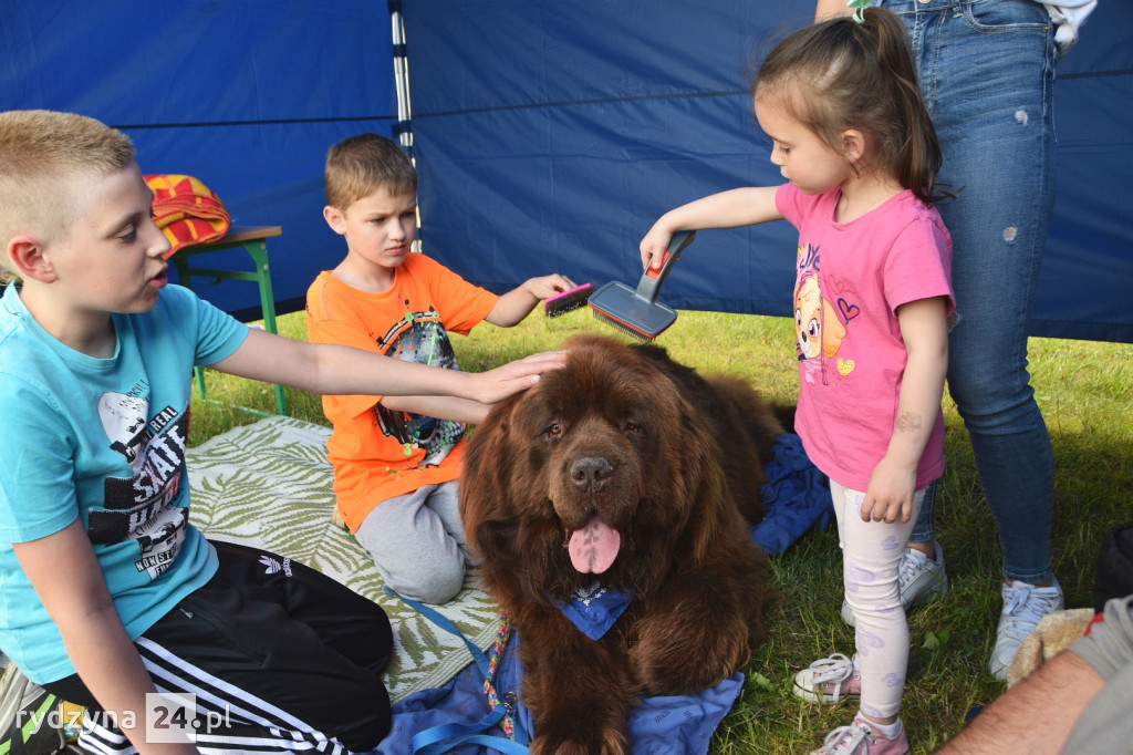 Rodzinny Piknik Integracyjny - Zawsze razem