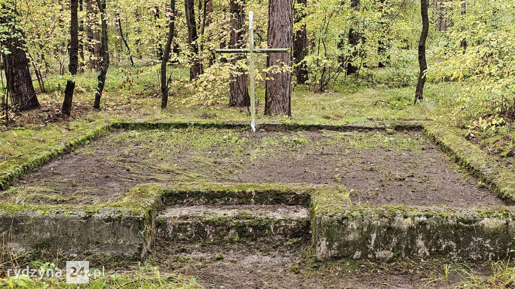 sprzątali mogiły w lesie pod Rydzyną