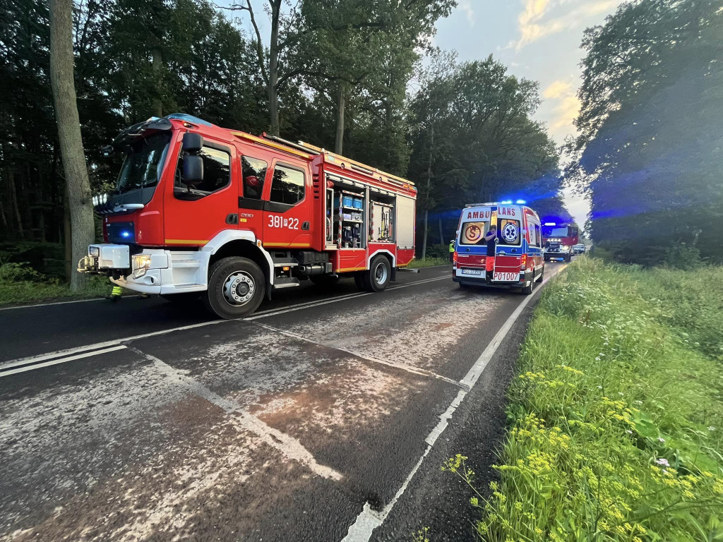 Podsumowanie Aktywności Ochotniczej Straży Pożarnej w Dąbczu