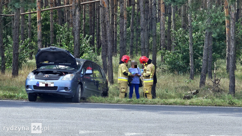 Kolizja na drodze wojewódzkiej 309 w Dąbczu