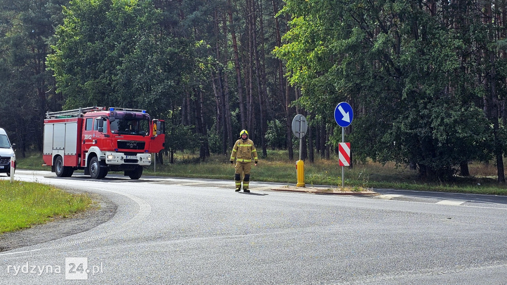 Kolizja na drodze wojewódzkiej 309 w Dąbczu