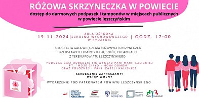 Różowa Skrzyneczka w Powiecie – spotkanie w Rydzynie o ciałopozytywności i wsparci-100767