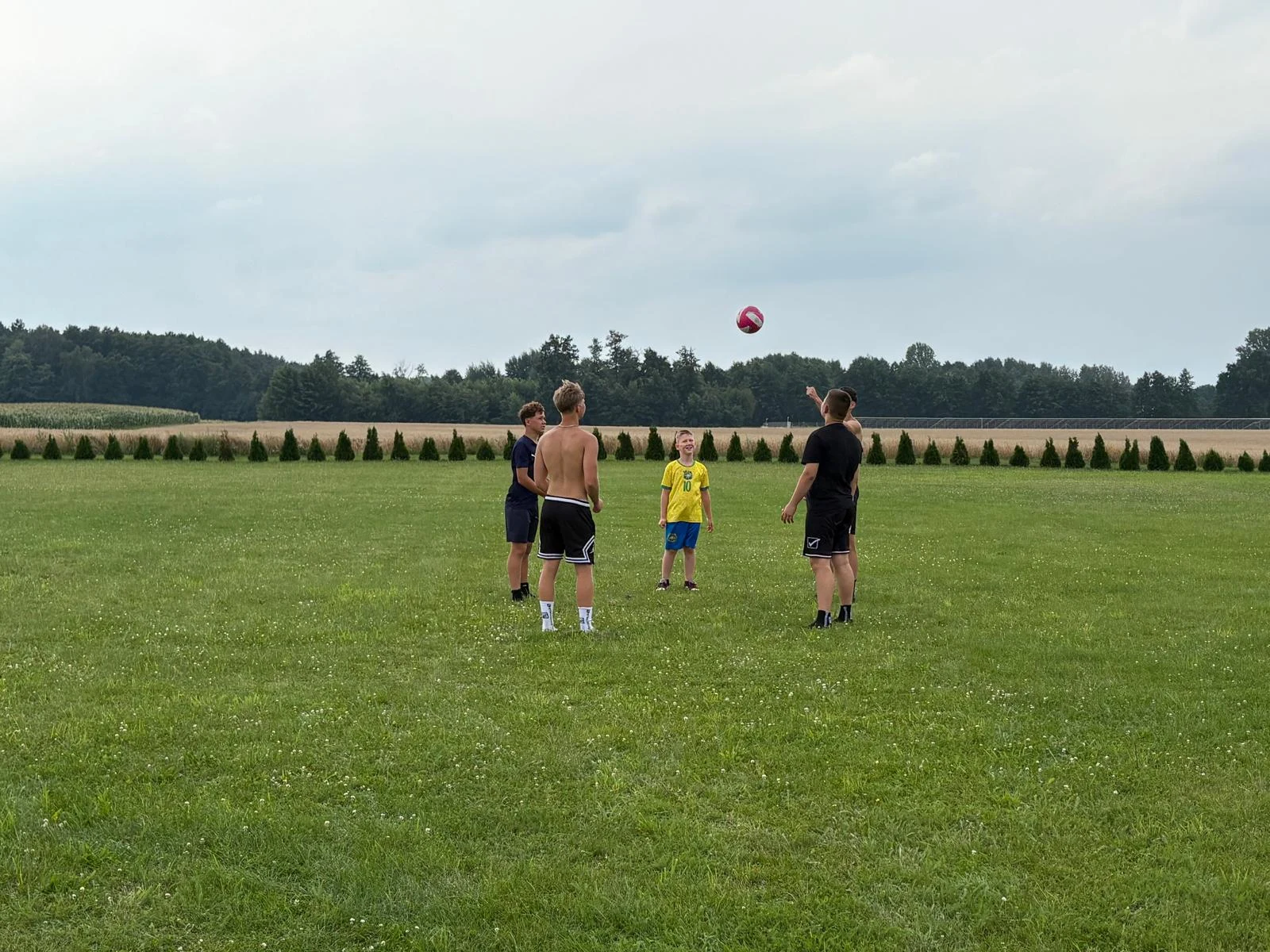 Zdjęcie 83