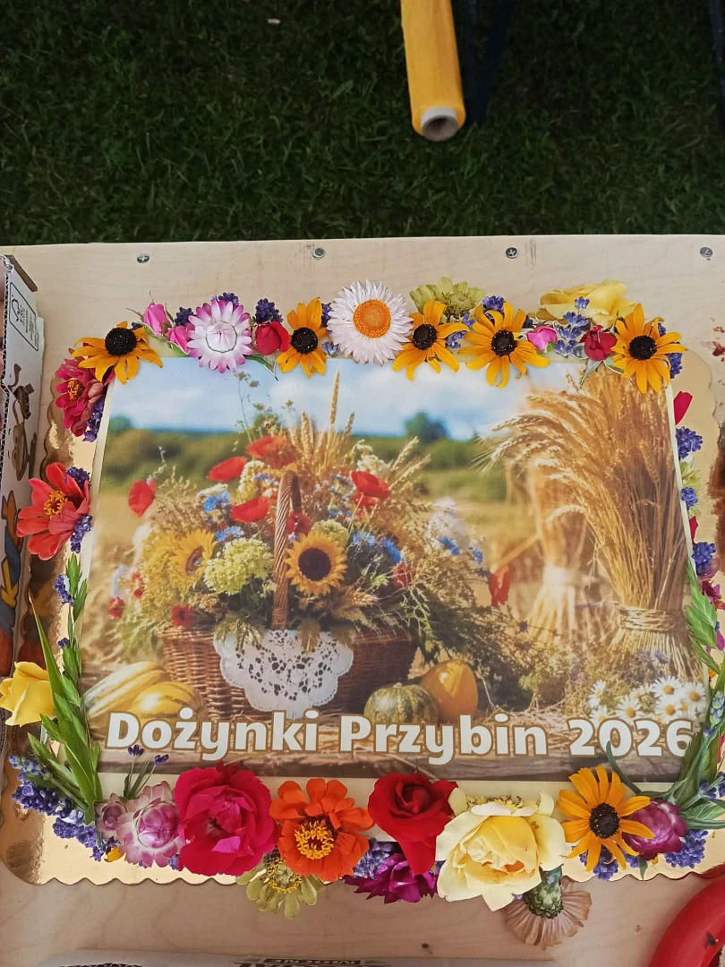 Zdjęcie 8
