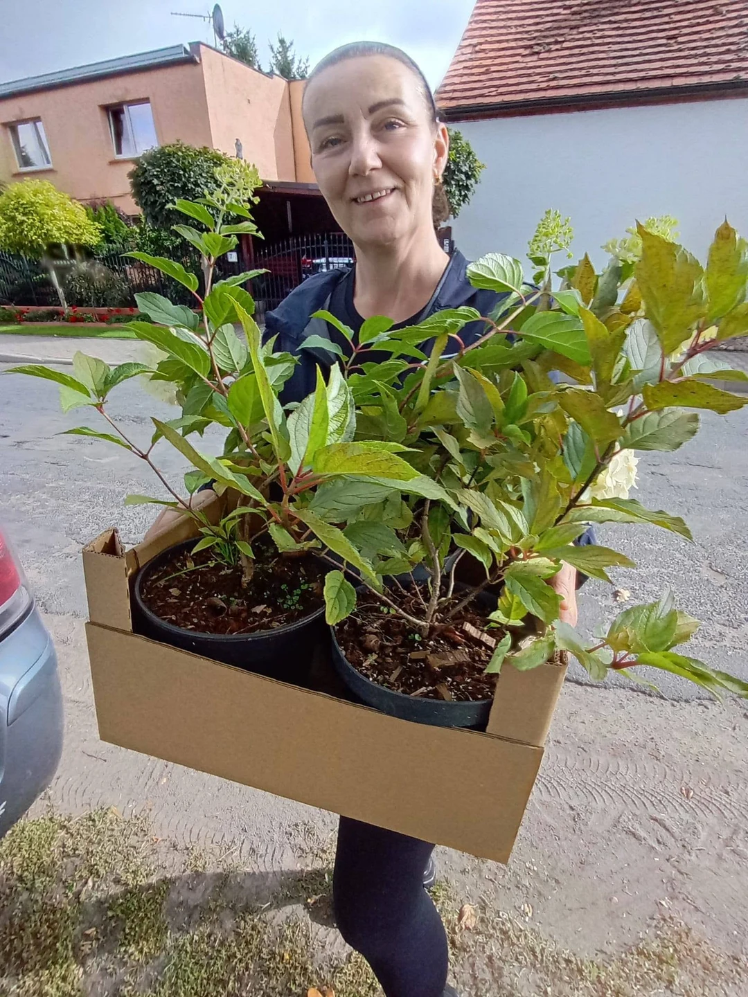 Zdjęcie 26