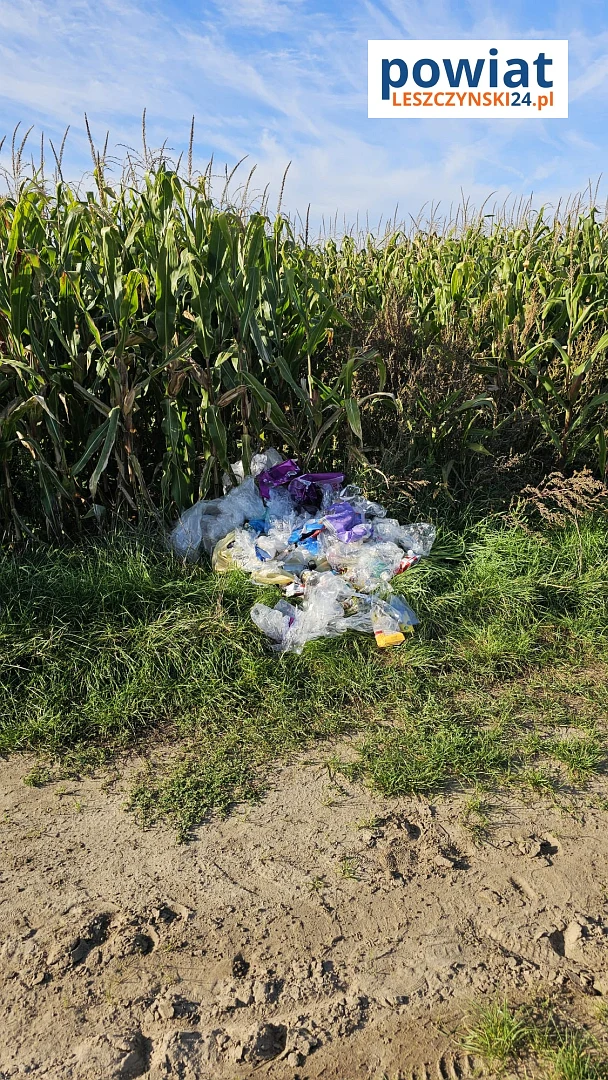 Zdjęcie 7