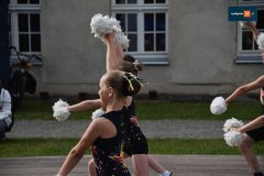 dzien-dziecka-rydzyna-328