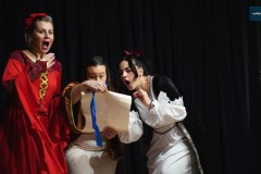 Przedstawienie-w-wykonaniu-nauczycieli-SOSW-w-Rydzynie-00047