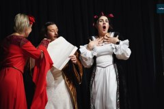 Przedstawienie-w-wykonaniu-nauczycieli-SOSW-w-Rydzynie-00048