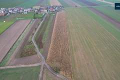 nowa-wies-gmina-rydzyna-nieleglana-uprawa-kukurydzy-006