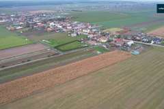 nowa-wies-gmina-rydzyna-nieleglana-uprawa-kukurydzy-010