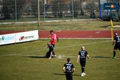 rydzyniak-dolsk-073