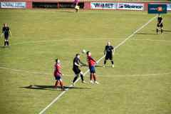 rydzyniak-dolsk-201