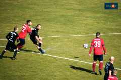 rydzyniak-dolsk-218