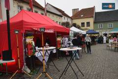 jarmark-swiateczny-rydzyna-0052