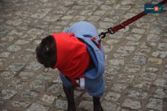 jarmark-swiateczny-rydzyna-0150