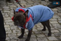 jarmark-swiateczny-rydzyna-0225