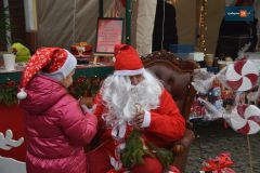 jarmark-swiateczny-rydzyna-0273