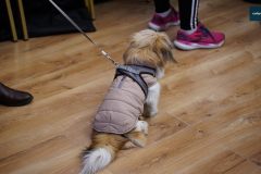 wosp-2026-bieg-rydzyna-00100