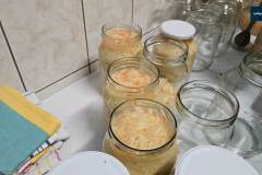 kgw-rydzyna-warsztaty-kiszenia-057