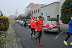 sztafeta-powstaniw-wielkopolskiego-rydzyna-miejska-gorka-0078