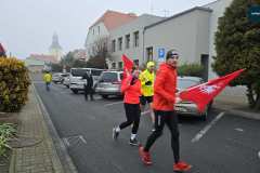 sztafeta-powstaniw-wielkopolskiego-rydzyna-miejska-gorka-0079