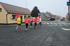 sztafeta-powstaniw-wielkopolskiego-rydzyna-miejska-gorka-0086