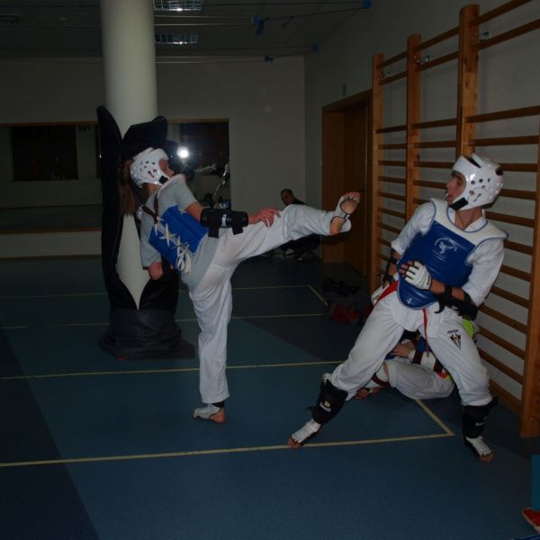 Sfinks Rydzyna, czyli teakwondo w Rydzynie