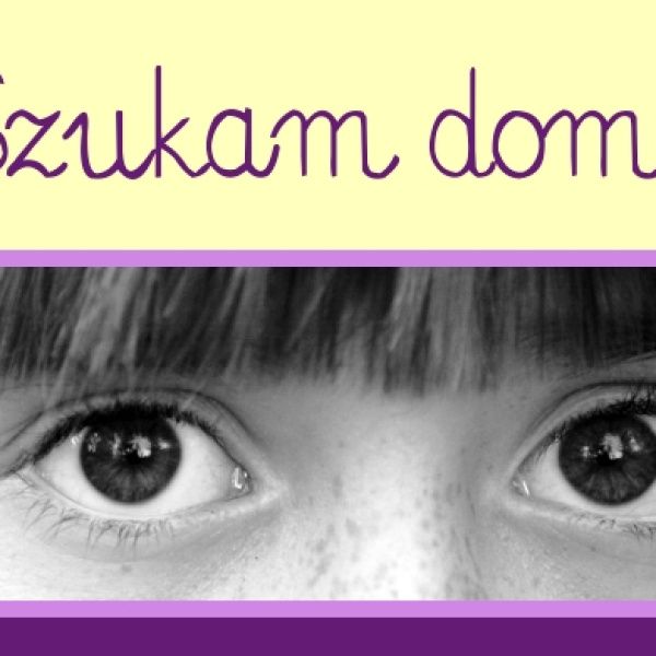 Szukam domu