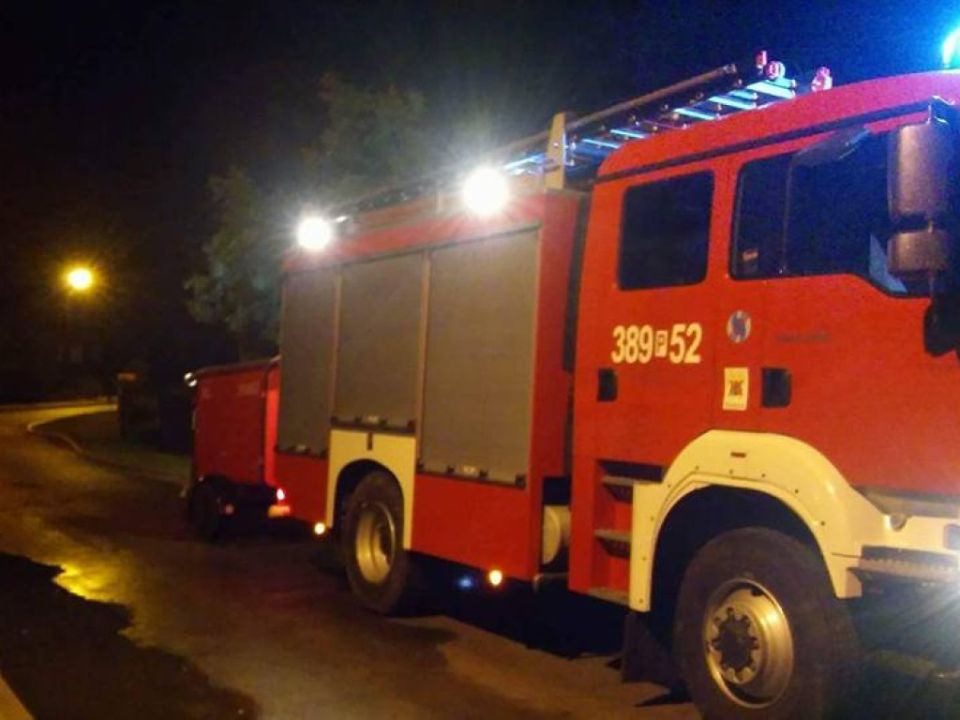 Zalana Jabłonna, szerszenie w Kłodzie i Kaczkowie