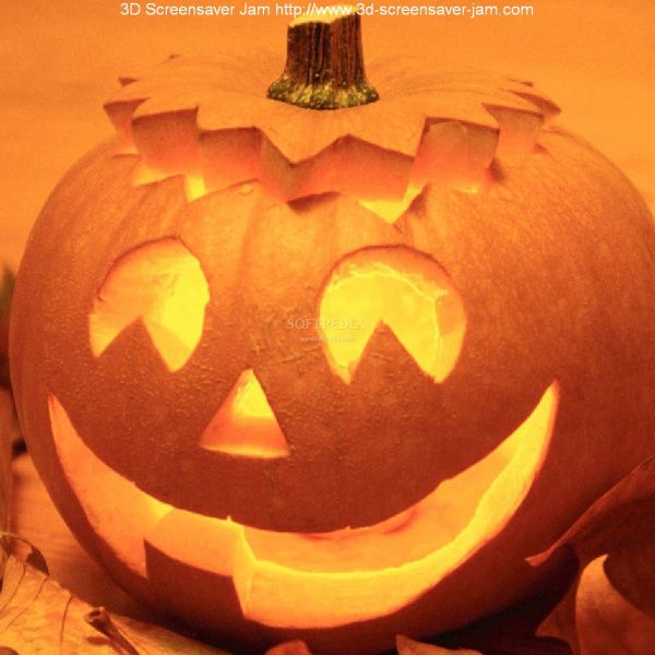 Cukierek albo psikus – o Halloween słów kilka