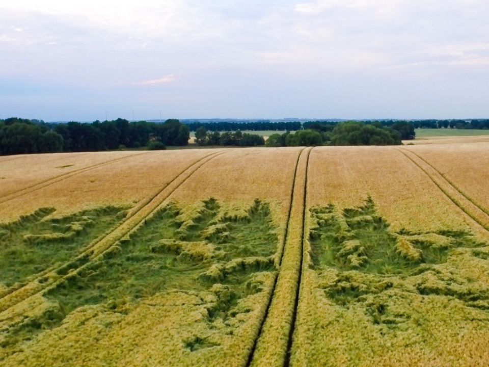 Zmiany w prawie łowieckim