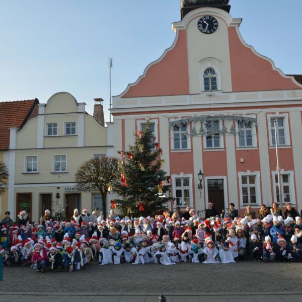 Choinki na rynku już przystrojone