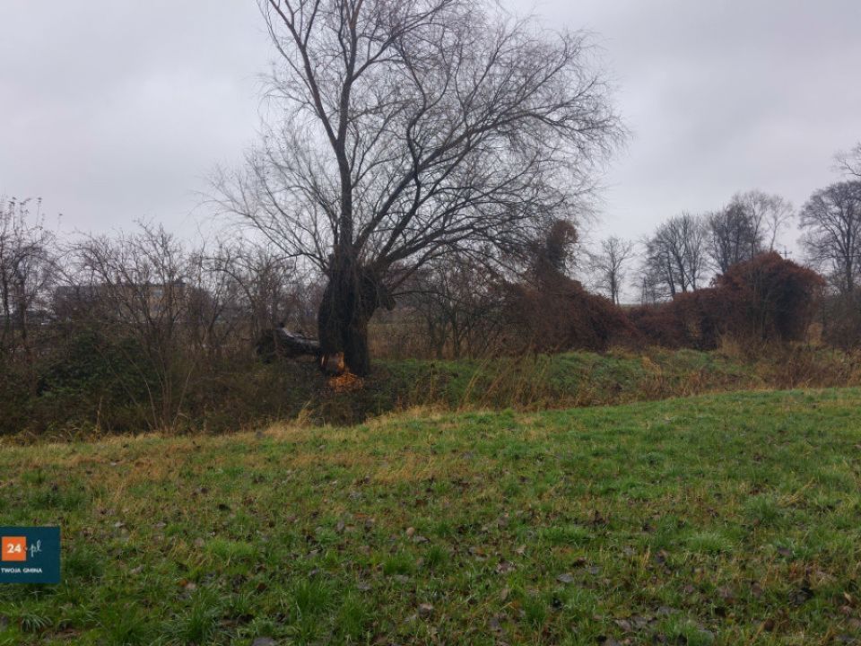 Zaniedbany staw w Kaczkowie