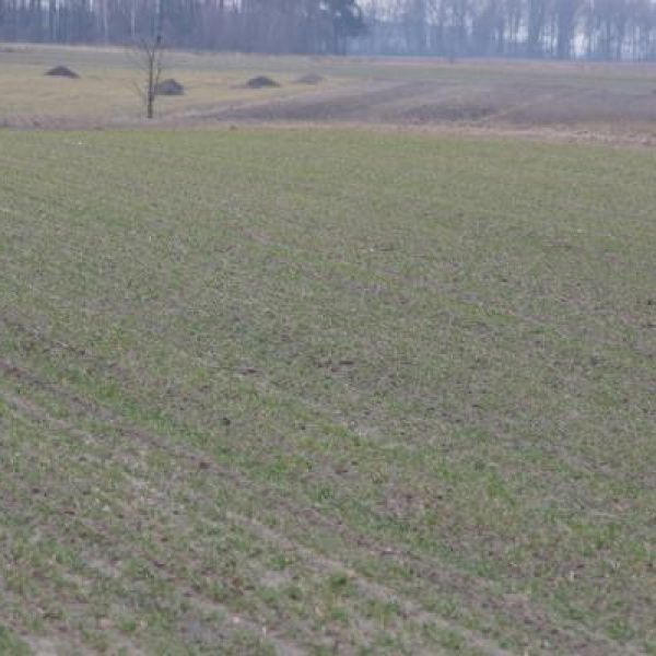 Jeśli to zrobisz, zapłacisz nawet 5 tys. zł grzywny!