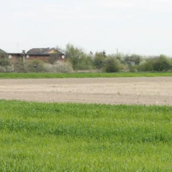 Przymrozki. Ponad 12 mln zł strat w uprawach