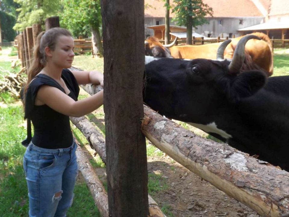 Zwiastuny pomogą Wiedźminowi