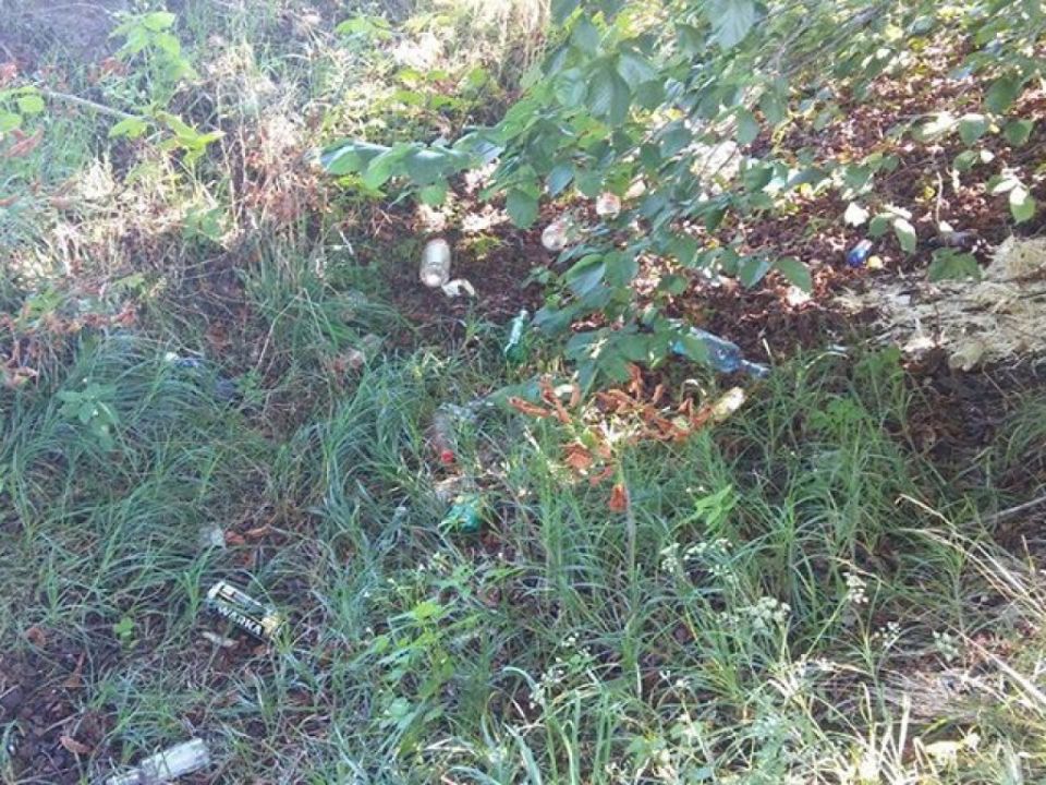 Śmieci w Rowie przy Alei Kasztanowej