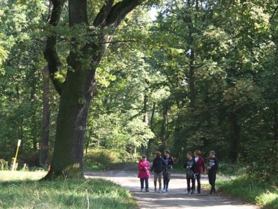SOSW sprzątał Świat