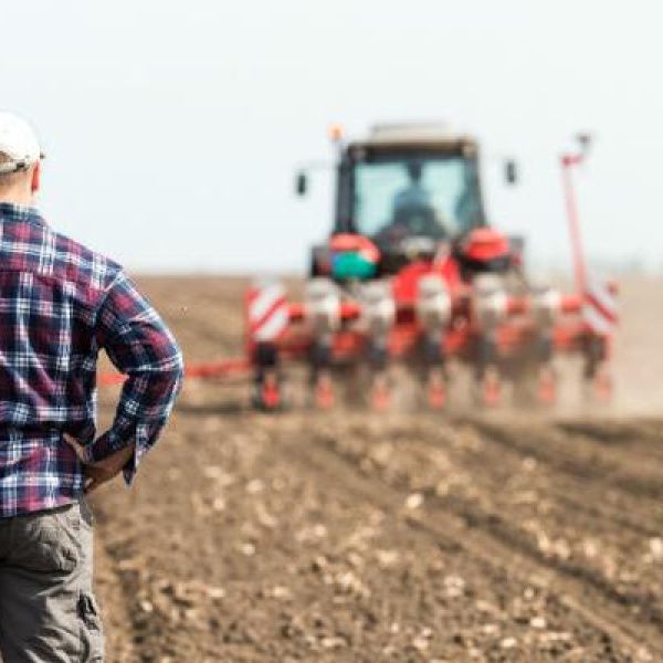 Rolnicy nie mogą przedłużać umów dzierżawy państwowych gruntów