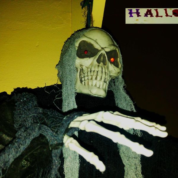Halloween w Rydzynie – Strach się bać..
