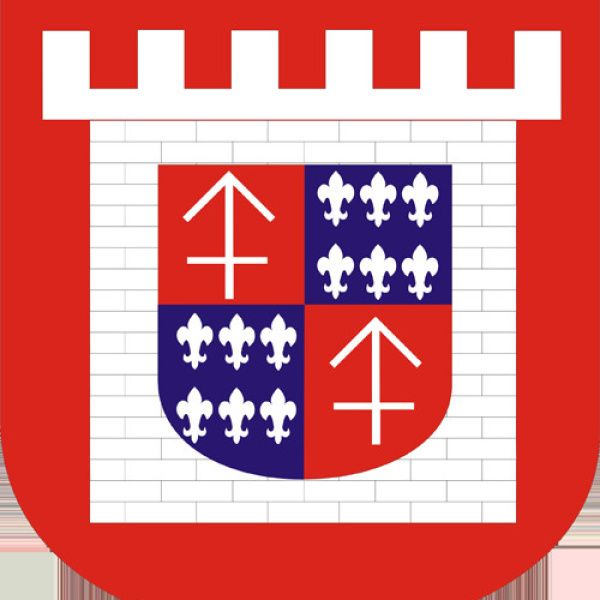 Konsultacje w sprawie: Programu współpracy Gminy Rydzyna z organizacjami pozarządo