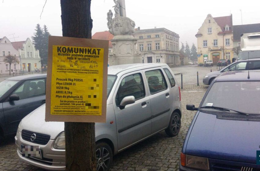  „Kwiatuszki”  w Rydzynie