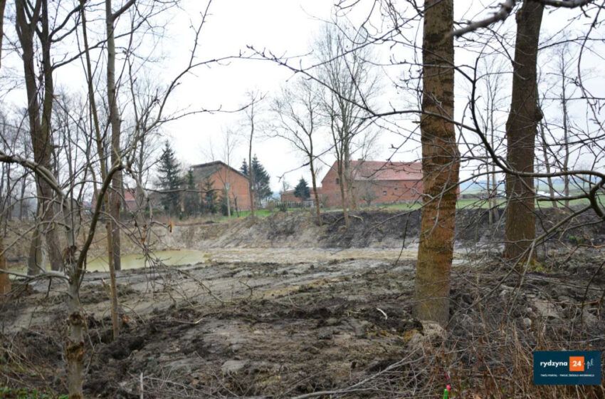  Staw w Rojęczynie