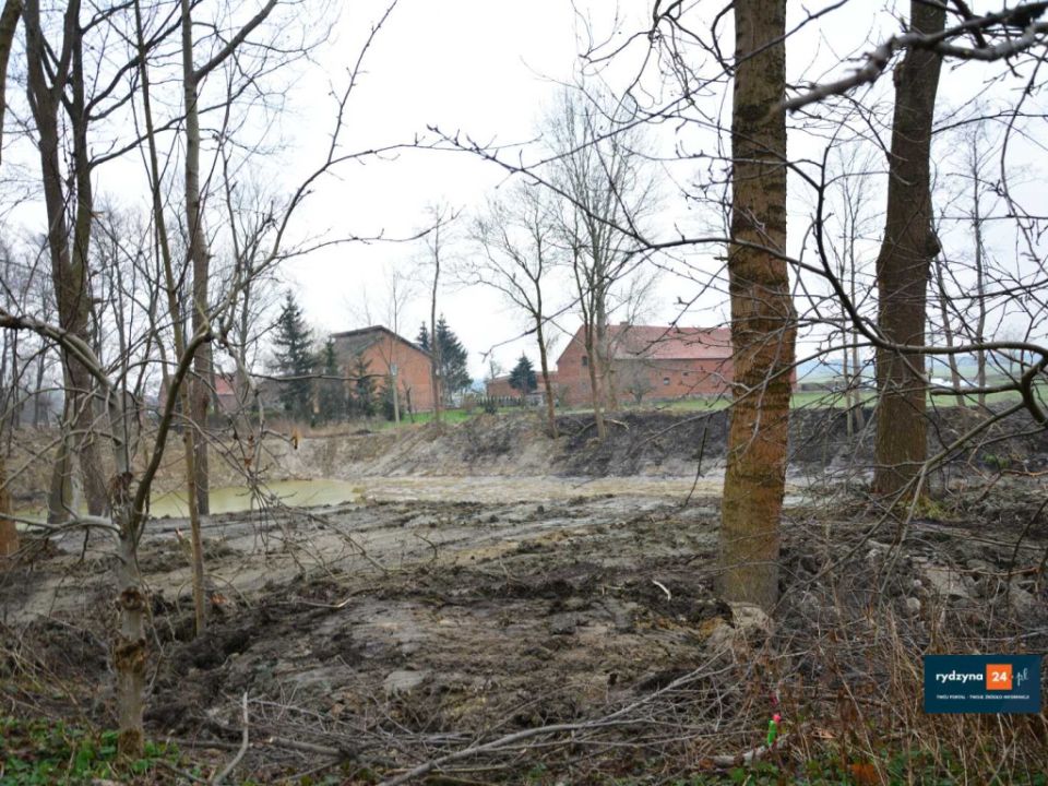 Staw w Rojęczynie