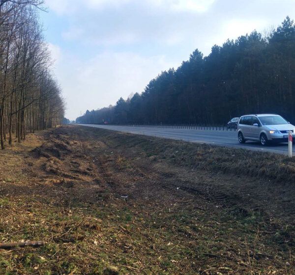  Co dalej ze ścieżką rowerową z Leszna do Rydzyny?