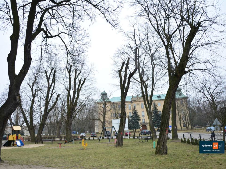 Czy wytną drzewa na placu zabaw ?