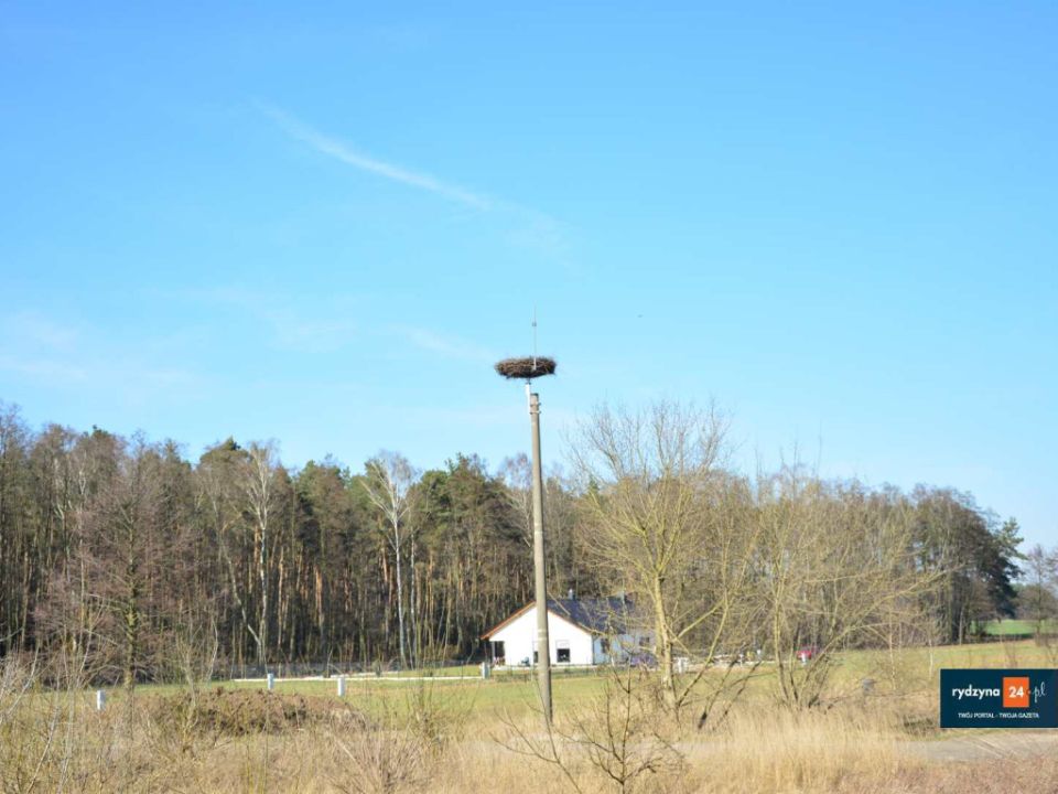 Nowe gniazdo bocianów