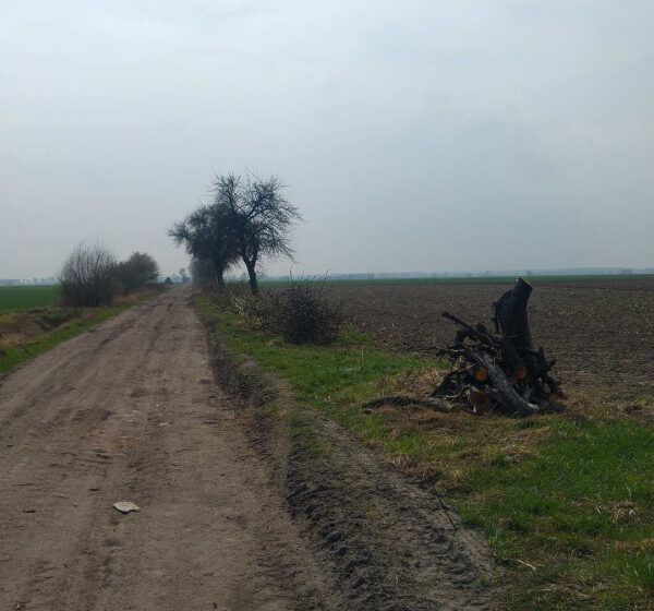  Gmina Rydzyna otrzymała dotację na drogi