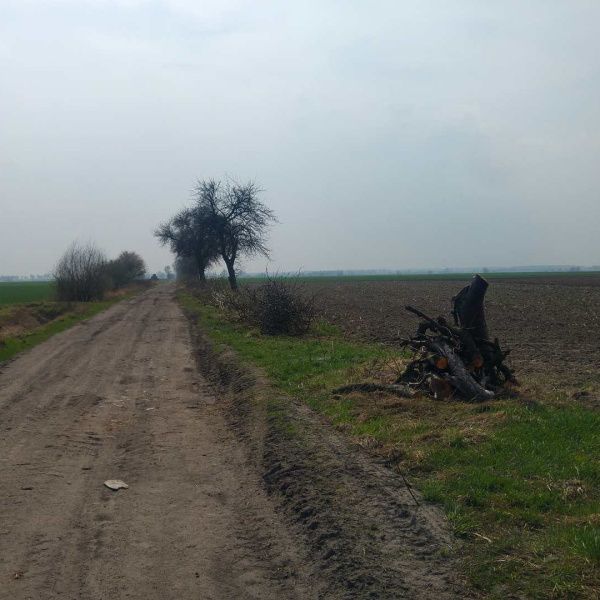 Gmina Rydzyna otrzymała dotację na drogi